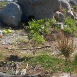 Alterações Climáticas – Como abordar o tema com as crianças