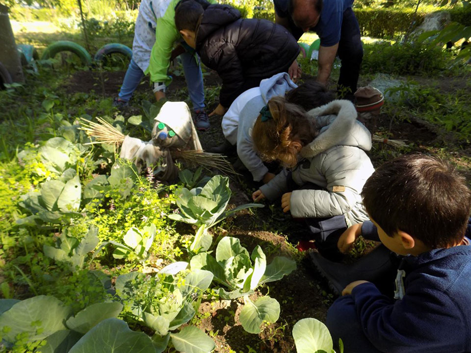 horta_foto_4